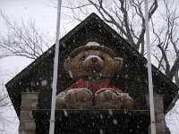 photos 2000-200902237
